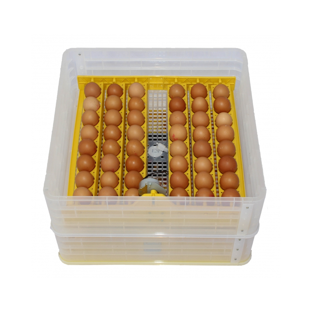 Couveuse automatique 96 œufs Incubation des oeufs