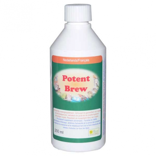 Potent Brew probiotique