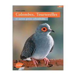 Colombes, Tourterelles et autres petits colombides