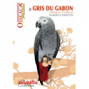 Le Gris du Gabon