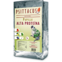 Psittacus Bouillie Haute Protéïne