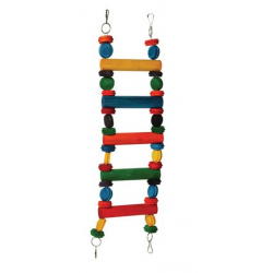 Echelle en bois de couleurs