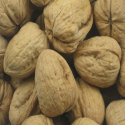 Noix de Grenoble sèches en coque calibre 30/32 - 1 kg : Friandises perroquets