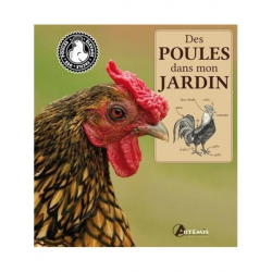 Des poules dans mon jardin