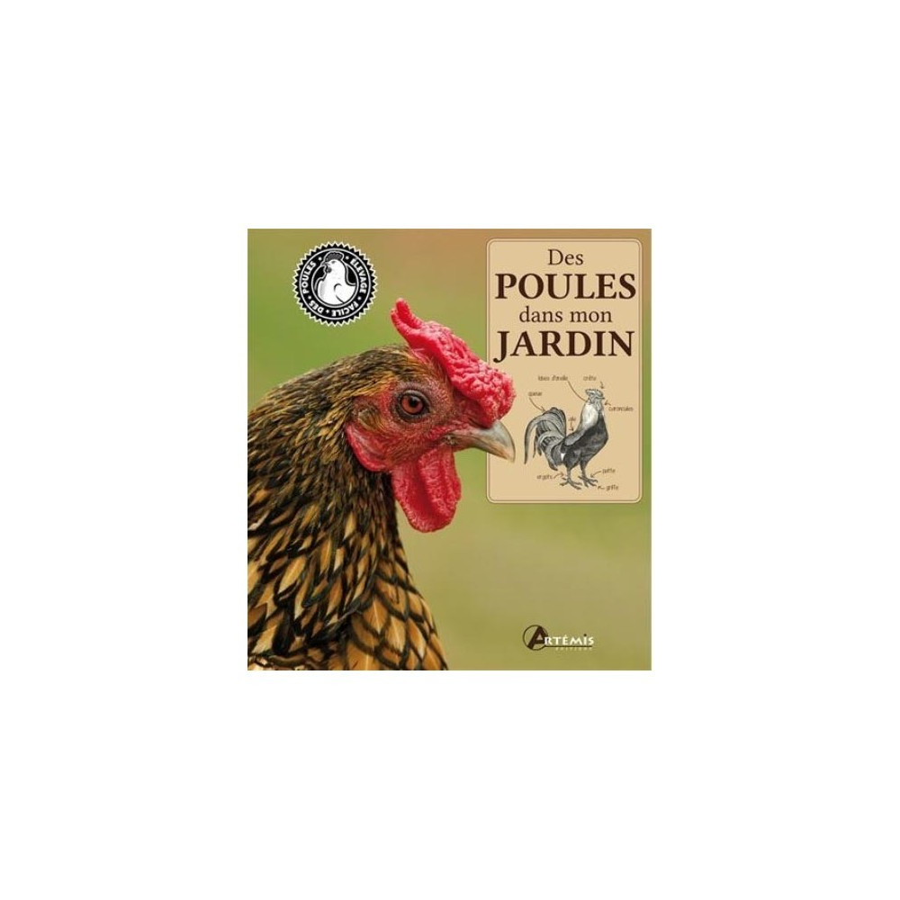 Combien De Langues Officielles Possède La Belgique Livres : des poules dans mon jardin