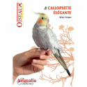 La callopsitte élégante