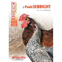 La Poule Sebright