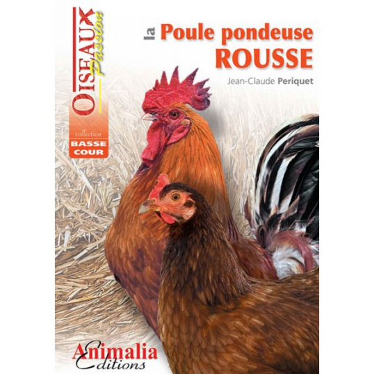 La poule pondeuse rousse