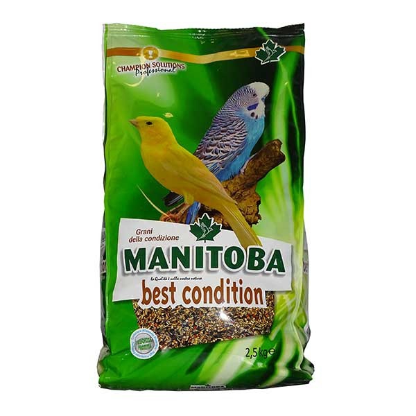 Manitoba Best Condition