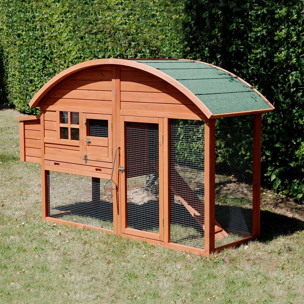 Poulailler Louisiane pour 2 à 3 poules avec enclois et pondoir