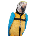 Harnais + rallonge United : Gris du Gabon, amazone, conure, grande perruche...