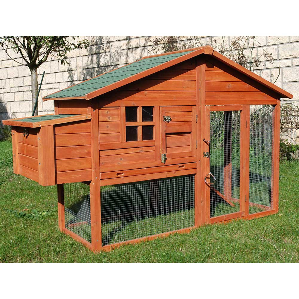 Poulailler Utah Pour 2 à 3 Poules Traditionnelles