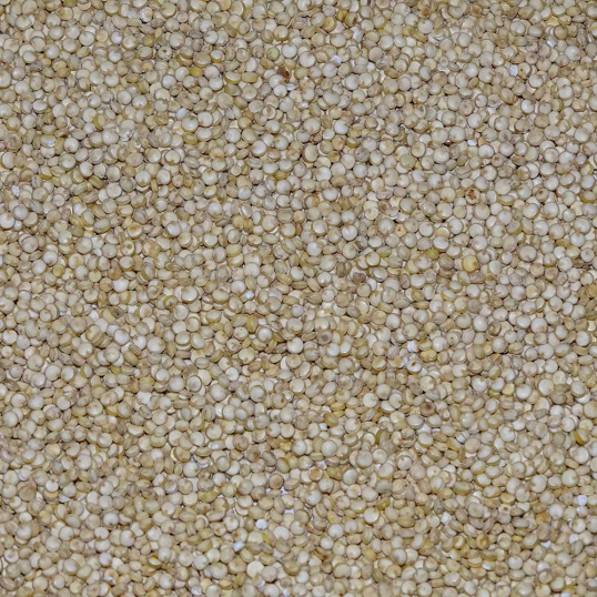 Quinoa Manitoba