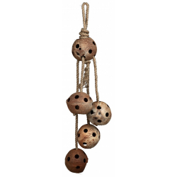 Noix de coco sur corde de jute