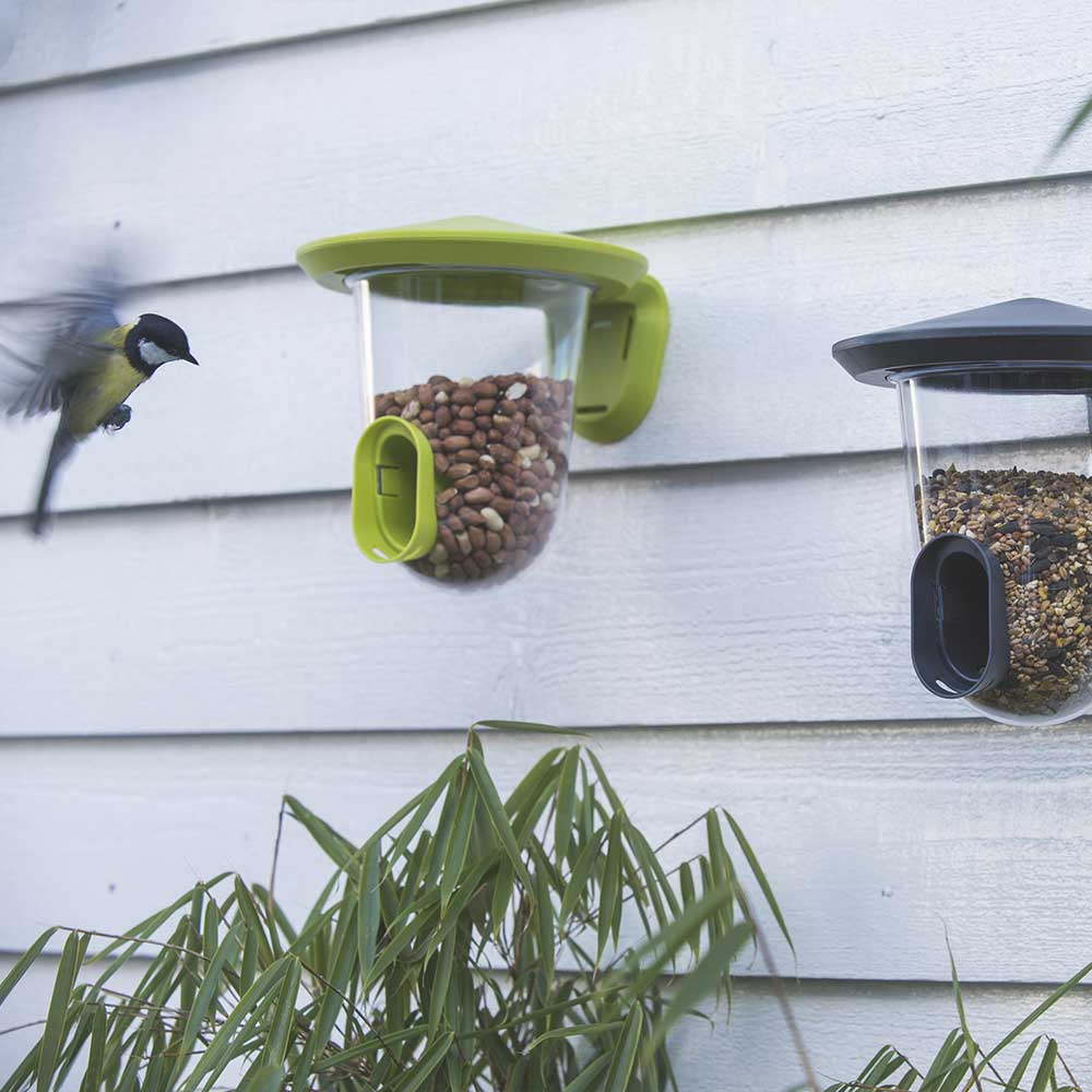 Mangeoire FeedR oiseaux du jardin : Boutique oiseaux du jardin, qualitybird