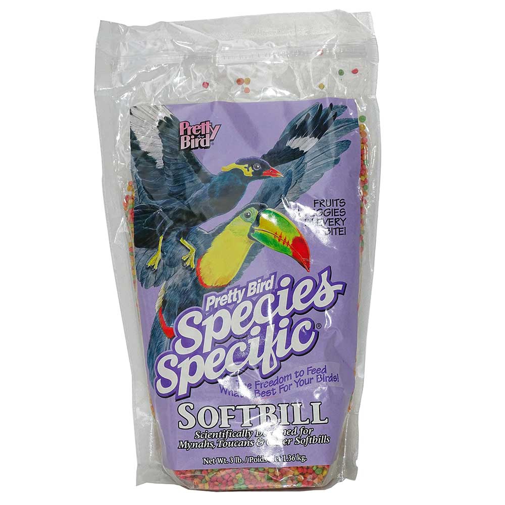 Pretty Bird Specific Softbill mainates et toucans