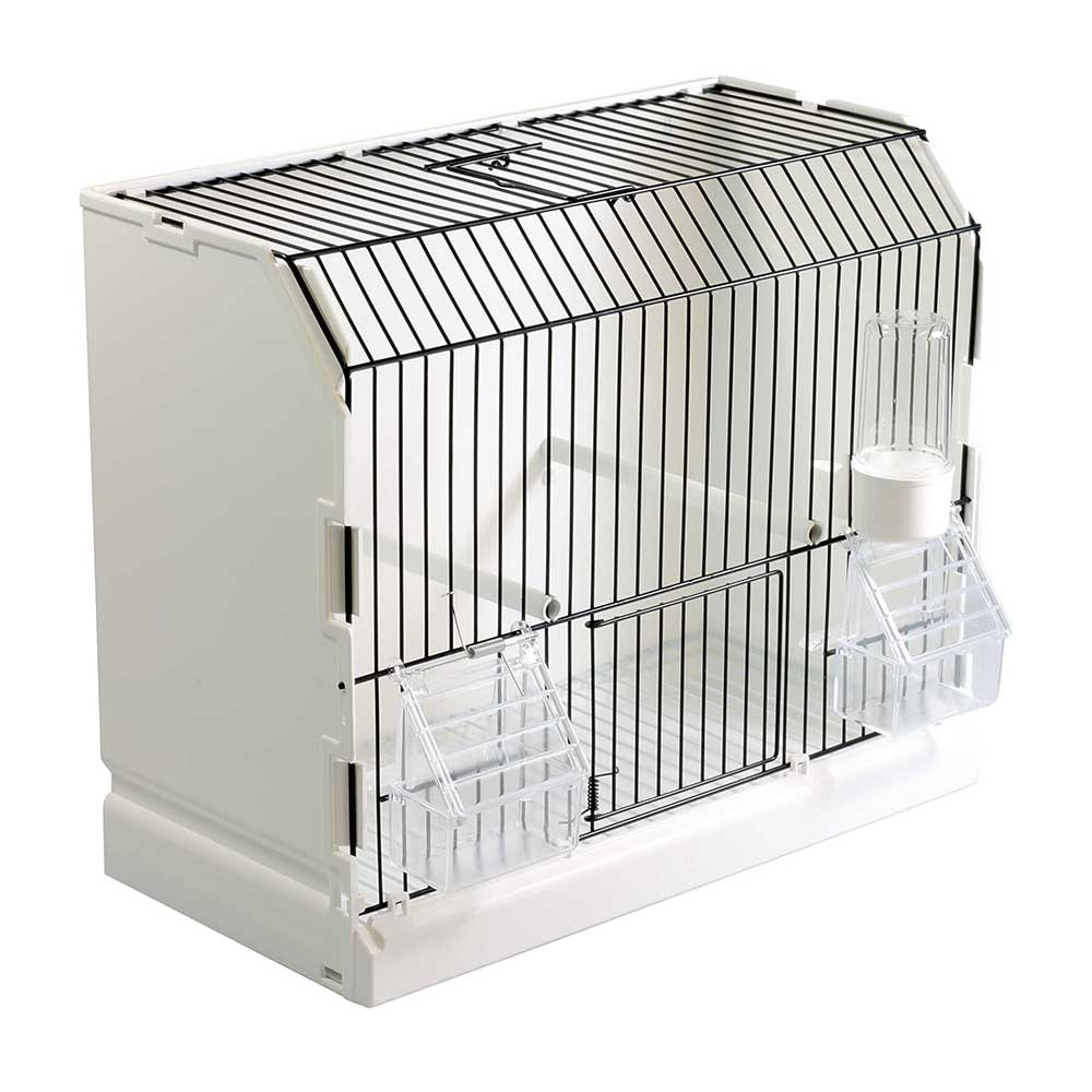 Cage Dexposition Pour Canaris Goulds Et Oiseaux Exotiques