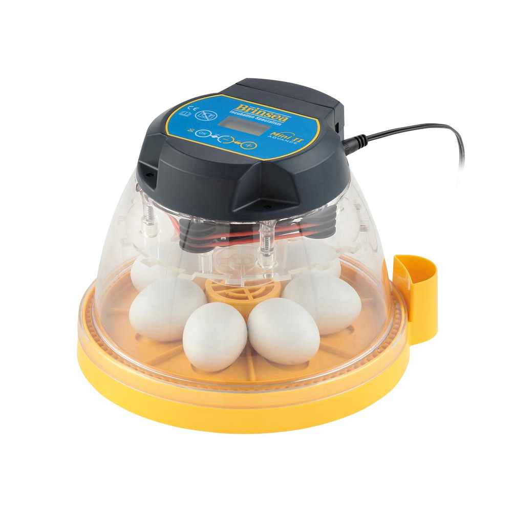 Couveuse Brinsea Mini II Advance Qualitybird, tout pour l