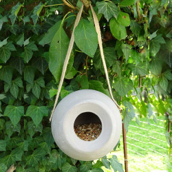 Arachides Décortiquées Oiseaux Du Jardin Alimentation