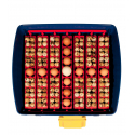 Couveuse Borotto Real 49 automatique