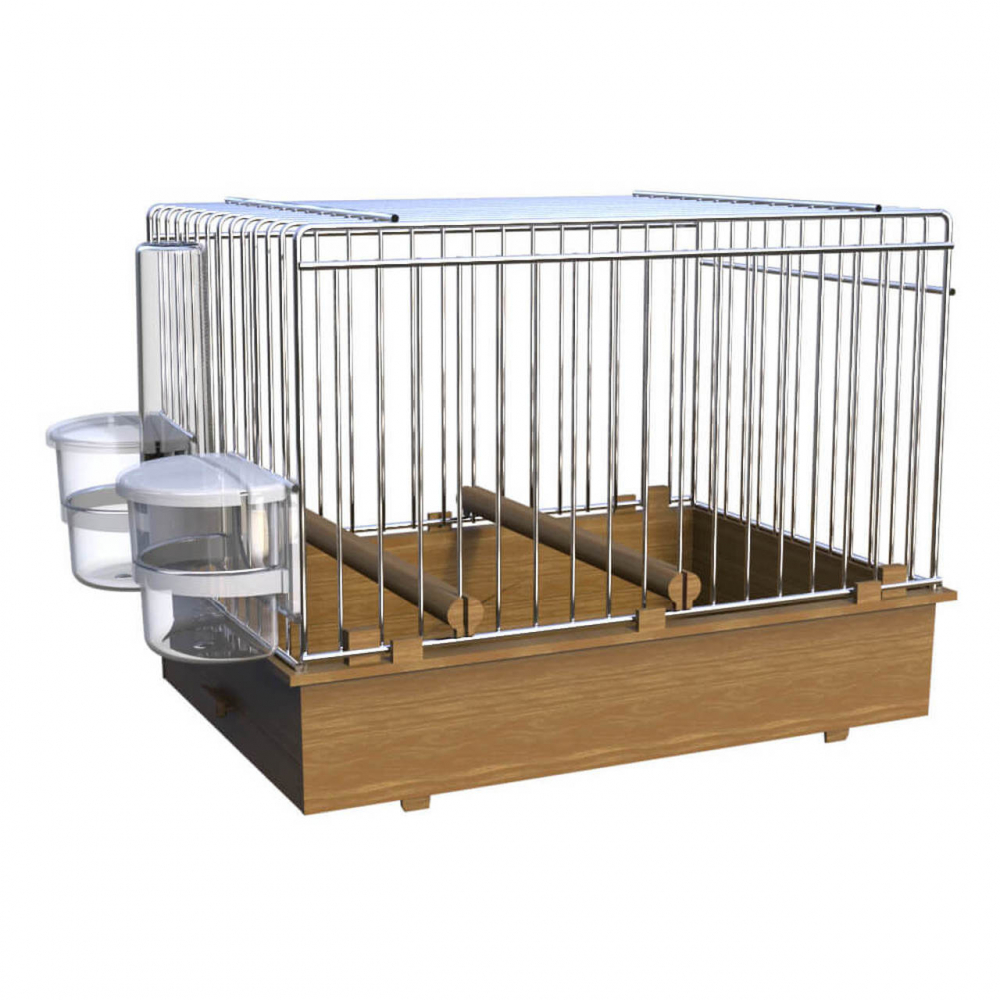 Cage De Chant Pour Canaris