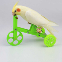 Vélo pour perruche et petit perroquet