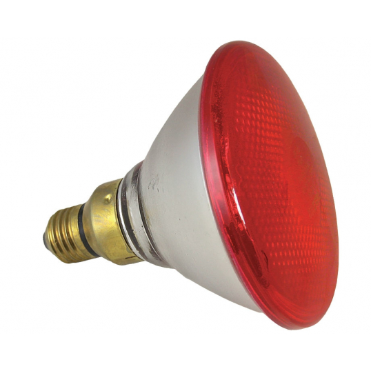 xingbailong Lampe Chauffante de Surface Rouge Etanche Anti-Explosion Ampoule pour Porcinet Poulet Canard Oiseaux 150W 