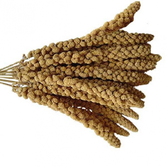 https://www.boutique-oiseaux.com/4701-large_default/millet-en-grappe-francais-1-kg.jpg