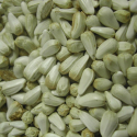 Cardy ou graines de carthame - 20 kg