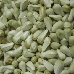 Cardy ou graines de carthame - 1 kg