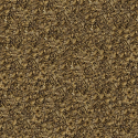Graines de Chardon Marie - 25 kg