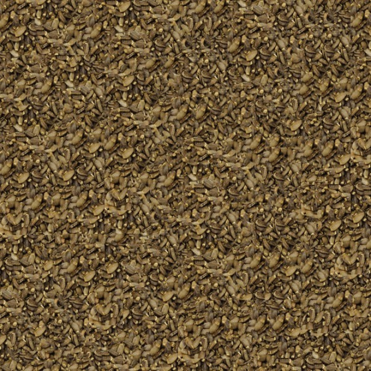 Graines de Chardon Marie