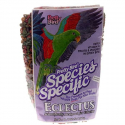 Pretty Bird Eclectus - 1.360 kg