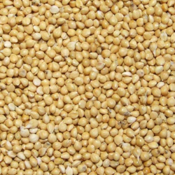 Millet Jaune 25 kg (1475)