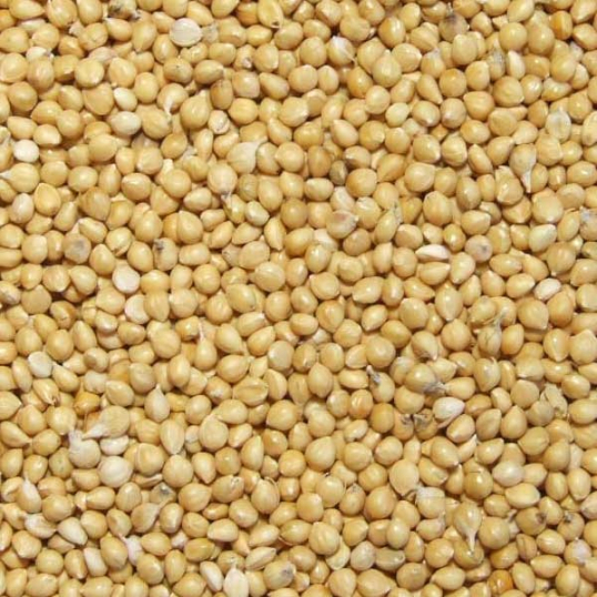 Millet Jaune 25 kg (1475)