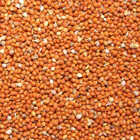 Millet Rouge 25 kg (1479)