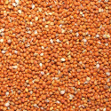 Graines de millet Rouge - 1 kg