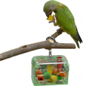 Recharge boite a jouets perroquet