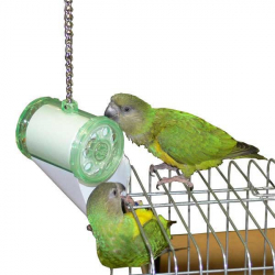 Déchiquetez moi jouet perroquet