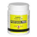 Perform Pro Probiotiques 500 g - Red Animals