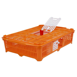 Panier de transport volailles, cailles, pigeons (2392)