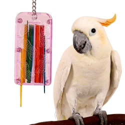 Drop Stix Foraging (3257)
