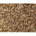 Gammarus, crevettes séchées déshydratées Gammares - 1 kg