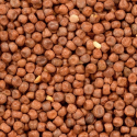 Maple Peas - Pois anglais 2.5kg