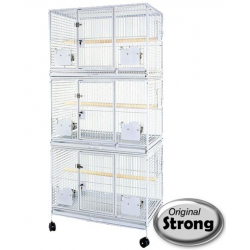 Triple cage pour youyou, meyer, petit perroquet