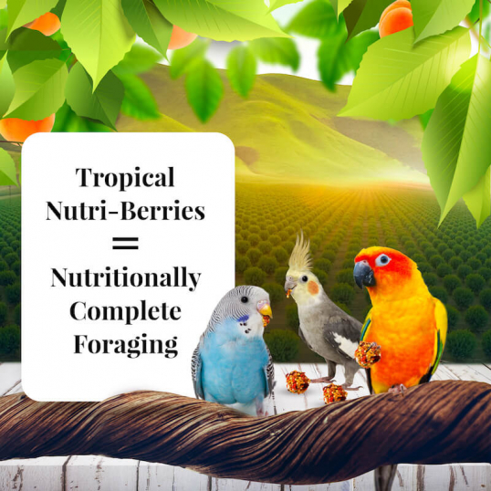 Nutri-Berries Sunny Orchard - Petites et grandes perruches 284 gr
