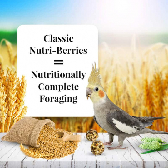 Nutri-Berries Classic petite et grande perruche 284 gr - Lafeber