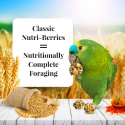 Nutri-Berries Classic pour perroquets 284 gr - Lafeber