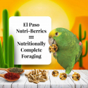 Lafeber - Nutri-Berries El Paso 284 gr - Repas Complet pour Perroquets