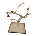 Arbre de Java XL AL30172